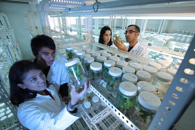基于5000分子量聚醚的聚氨酯防水涂料和地坪漆配方研究